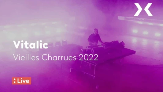 Vitalic - Concert aux Vieilles Charrues