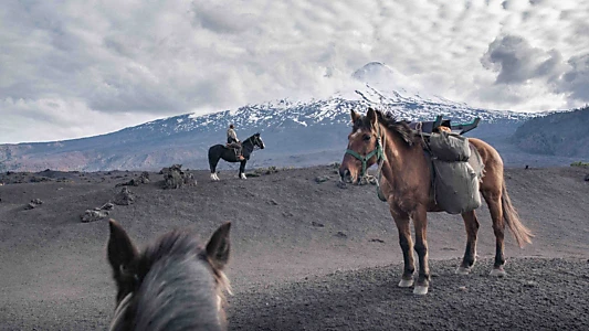 The Road to Patagonia