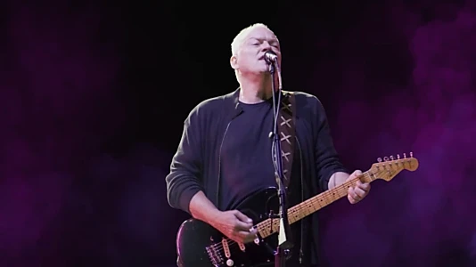 David Gilmour: In Concert