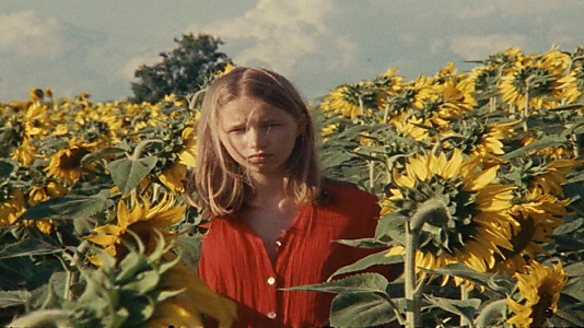 Alice and the Sunflowers