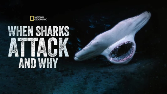 When Sharks Attack... and Why