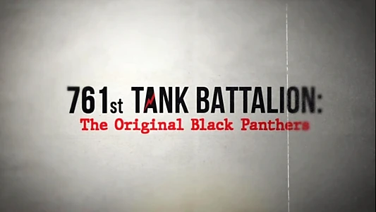 761st Tank Battalion: The Original Black Panthers