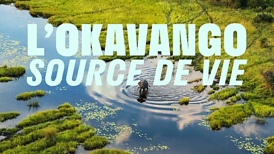 Okavango: A Flood of Life