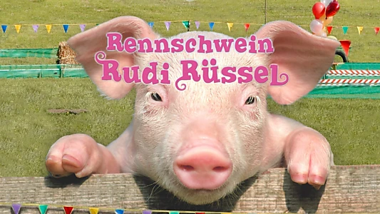 Rudy, the Racing Pig