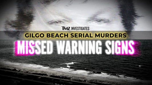 TMZ Investigates: Gilgo Beach Serial Murders: Missed Warning Signs