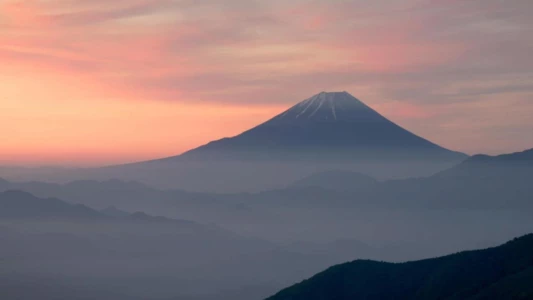 Japon, un nouveau monde sauvage