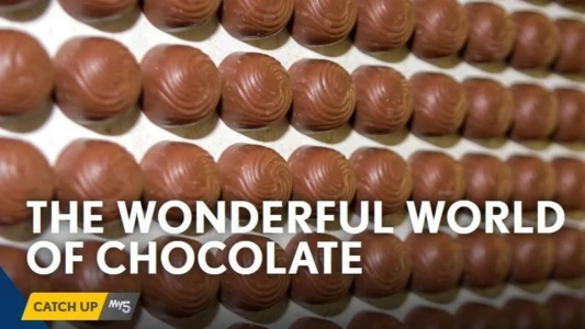 The Wonderful World of Chocolate