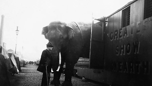 The Tragic Story of Fritz the Elephant