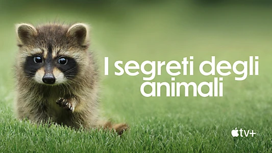 The Secret Lives of Animals