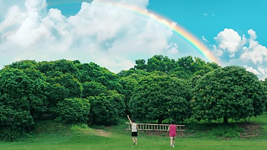 Secrets Happened on the Litchi Island