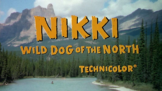 Nikki, Wild Dog of the North