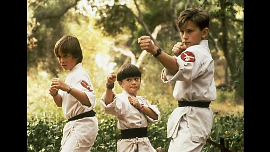 3 Ninjas