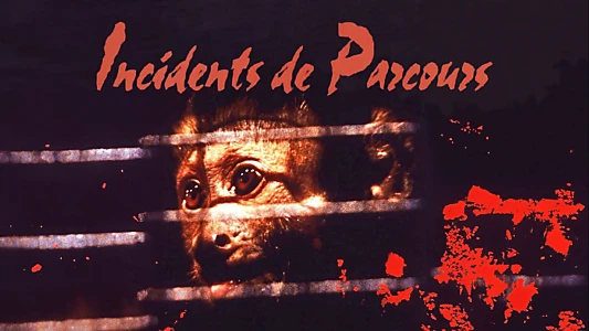 Monkey Shines