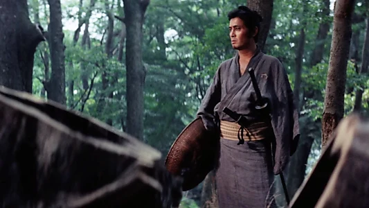 Zatoichi Goes to the Fire Festival