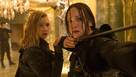 The Hunger Games: Mockingjay - Part 2