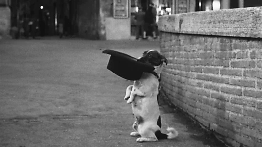 Umberto D.