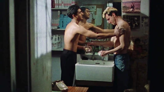 My Beautiful Laundrette