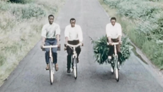 Watch Phillips Bicycles - Publicity Films for West Africa Trailer