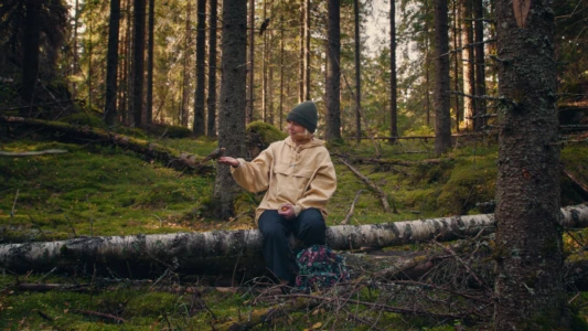 Watch Once Upon a Time in a Forest Trailer
