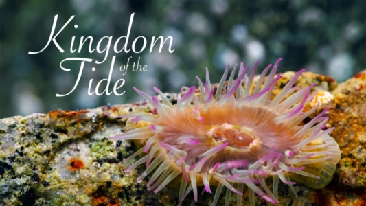 Kingdom of the Tide