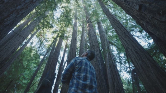 Watch Trees and Other Entanglements Trailer