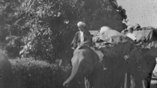 Watch Land of the Elephants Trailer