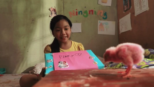 Watch Ang Pink na Sisiw ni Ningning Trailer