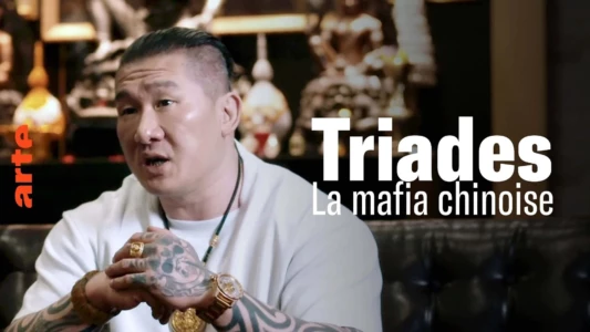 Triads, the Chinese Mafia Conquering the World