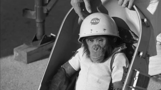 One Small Step: The Story of the Space Chimps