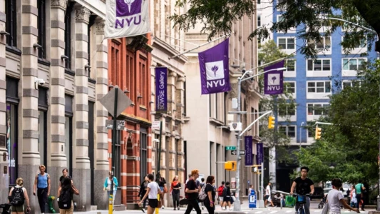 Watch Meet The Most Based NYU Student Trailer