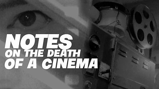 Notes on the Death of A Cinema