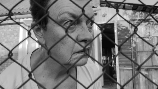 Fences