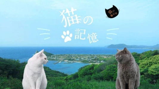 Watch Itoshima Movie: Cat's Memory Trailer