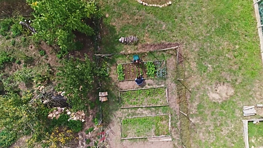 Potagers : Si on semait !