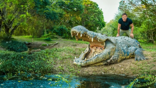 Watch Killer Crocs with Steve Backshall Trailer