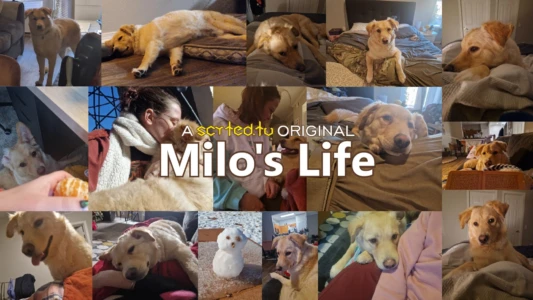 Watch Milo's Life Trailer