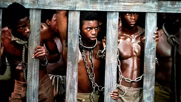 Watch Roots Trailer