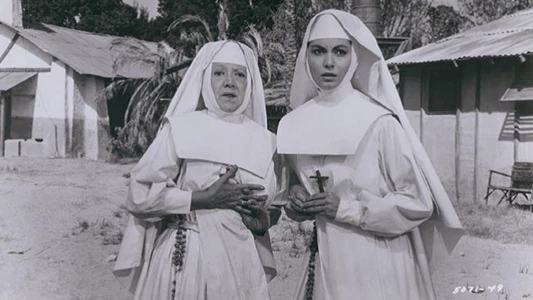 A Nun at the Crossroads