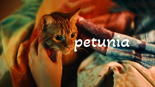 Watch Petunia Trailer