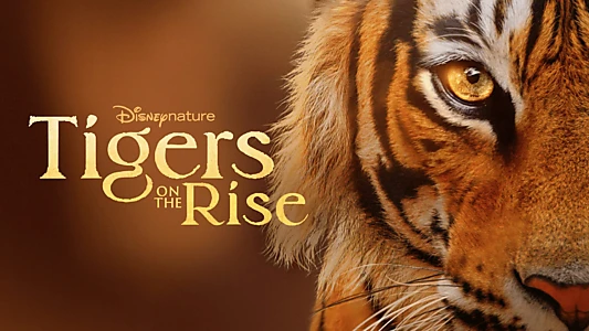 Watch Tigers on the Rise Trailer