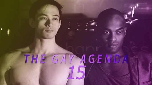 The Gay Agenda 15