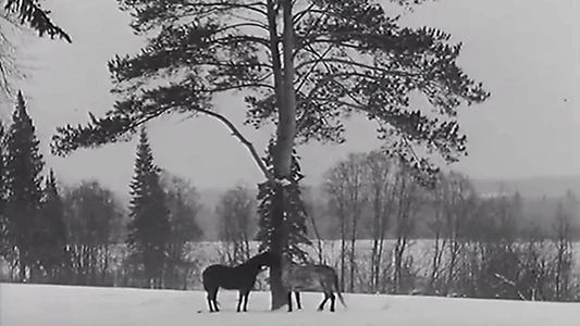 The Horse Walker