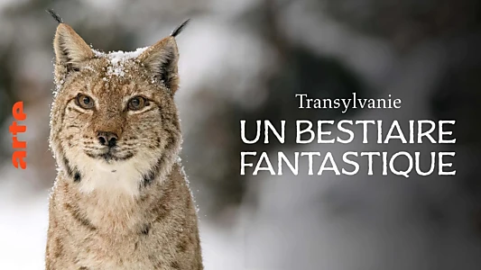 Transylvanie, un bestiaire fantastique