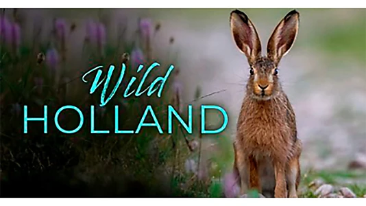 Wild Holland