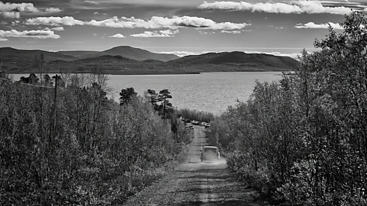 Solitary Road