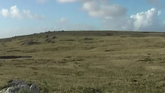 Huellas en el viento