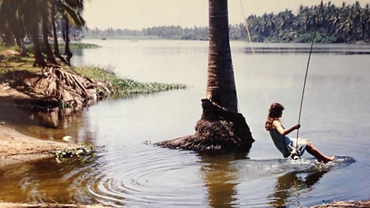 An Island Surrounded by Water