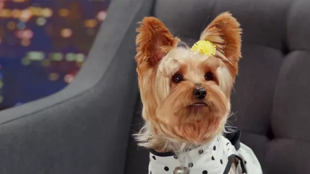 Watch Pup Star: Better 2Gether Trailer