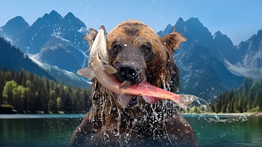 Watch The Hungry Games: Alaska's Big Bear Challenge Trailer