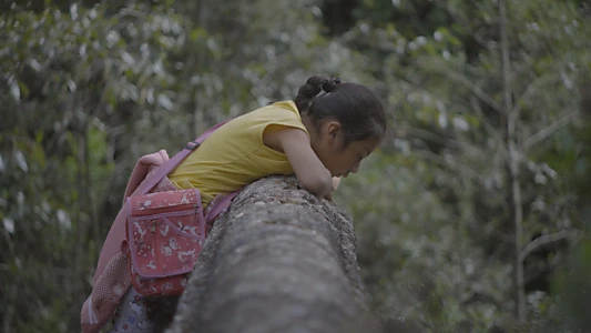 Watch Lachatao Trailer